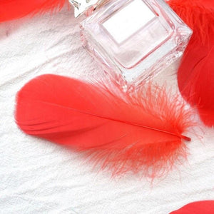 100pcs 8-12cm Makaron Balloon Decoration Filling Natural Feather Wedding Birthday Party Decoration Decoration Photo props