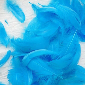 100pcs 8-12cm Makaron Balloon Decoration Filling Natural Feather Wedding Birthday Party Decoration Decoration Photo props