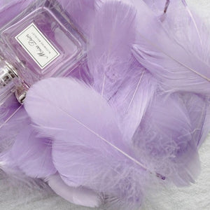 100pcs 8-12cm Makaron Balloon Decoration Filling Natural Feather Wedding Birthday Party Decoration Decoration Photo props